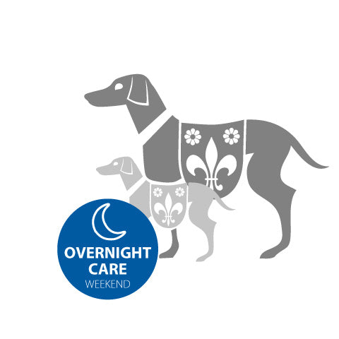 Overnight Care - Hundehotel